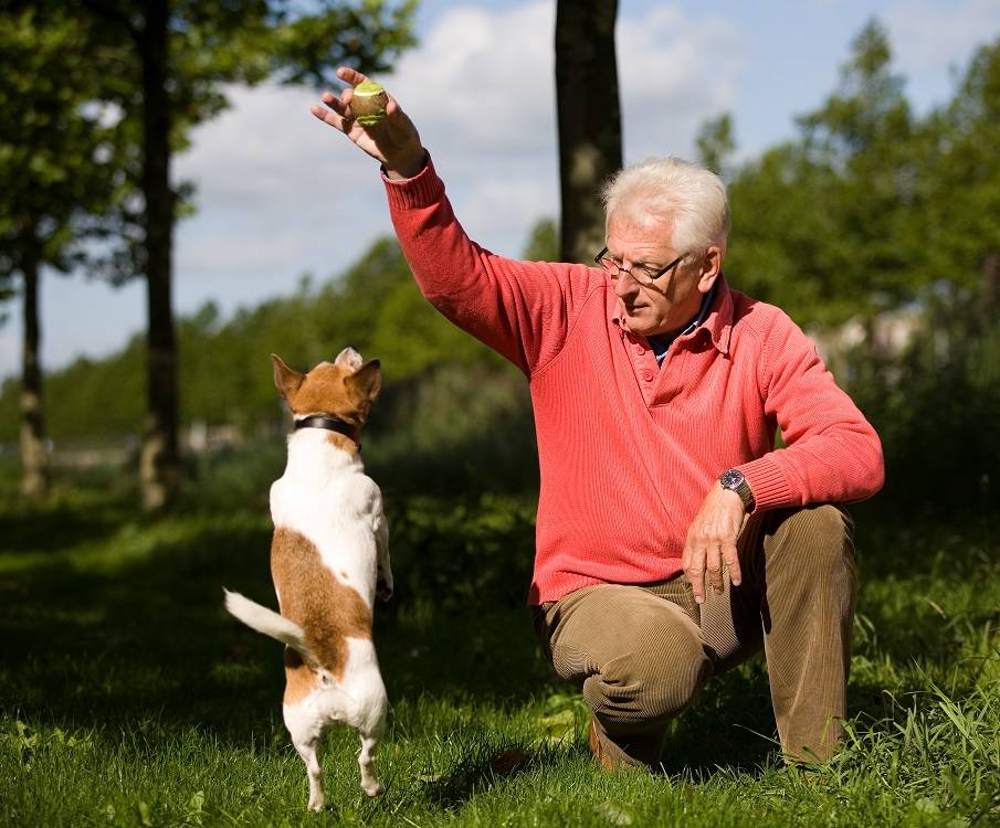 Oudere man speelt buiten samen met hond