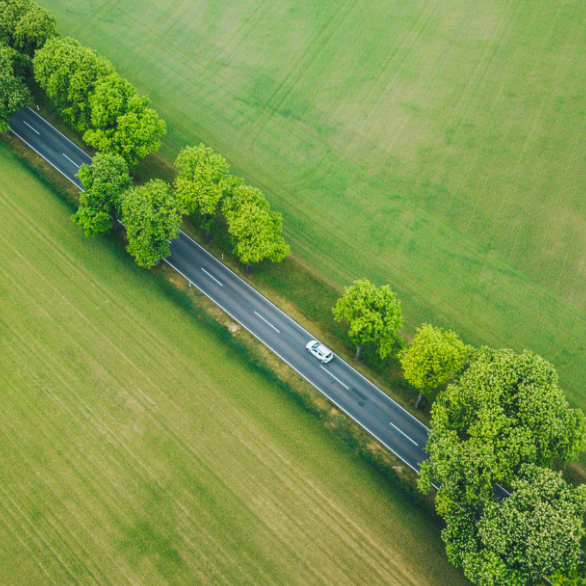 groene weg