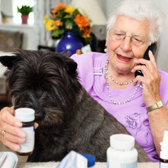 Oudere mevrouw met hond aan de telefoon 