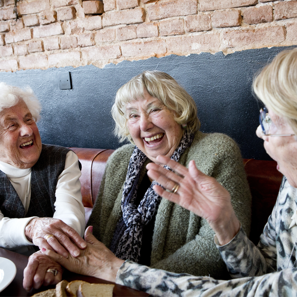 lachende ouderen hebben het gezellig